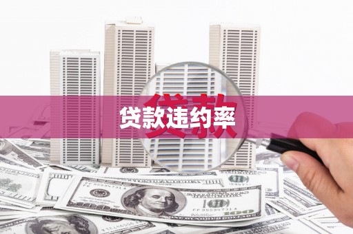 富县贷款违约率