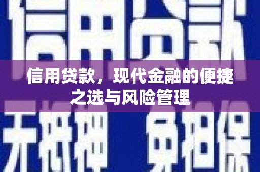 富县信用贷款，现代金融的便捷之选与风险管理