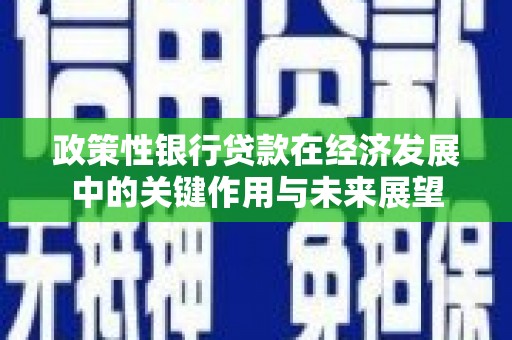 富县政策性银行贷款在经济发展中的关键作用与未来展望