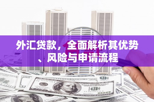 富县外汇贷款，全面解析其优势、风险与申请流程