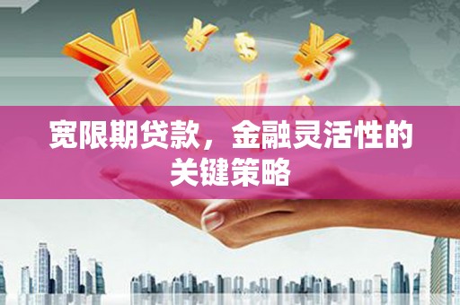 富县宽限期贷款，金融灵活性的关键策略