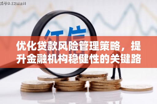 富县优化贷款风险管理策略，提升金融机构稳健性的关键路径