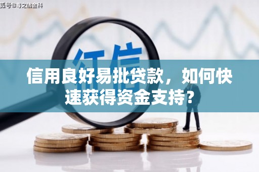 富县信用良好易批贷款，如何快速获得资金支持？
