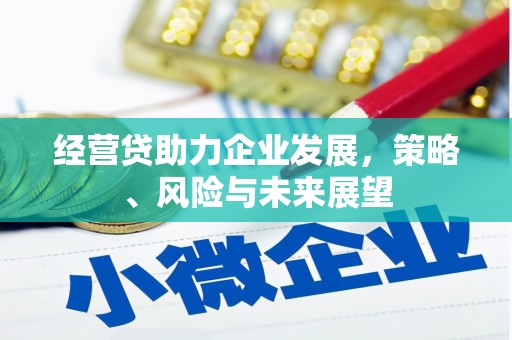 富县经营贷助力企业发展，策略、风险与未来展望