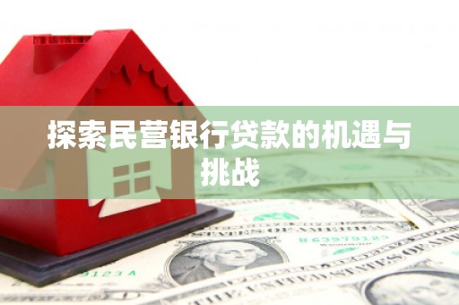 富县探索民营银行贷款的机遇与挑战