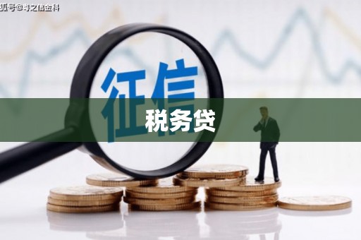 富县税务贷