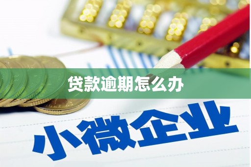 富县贷款逾期怎么办