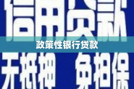 富县政策性银行贷款