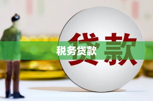 富县税务贷款