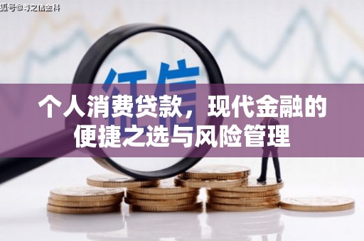富县个人消费贷款，现代金融的便捷之选与风险管理