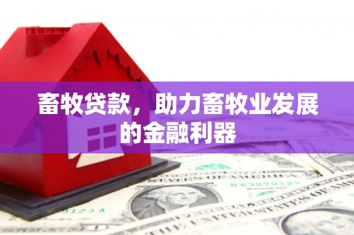 富县畜牧贷款，助力畜牧业发展的金融利器