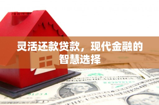 富县灵活还款贷款，现代金融的智慧选择