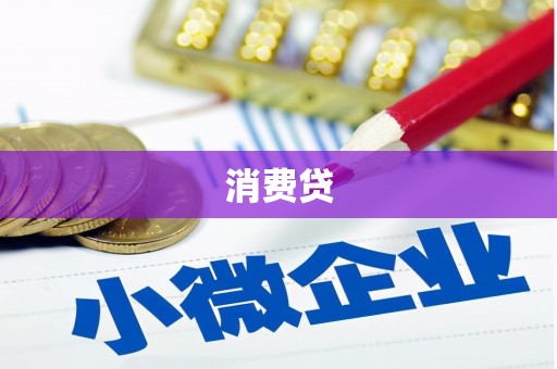 富县消费贷