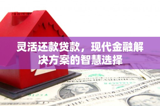 富县灵活还款贷款，现代金融解决方案的智慧选择