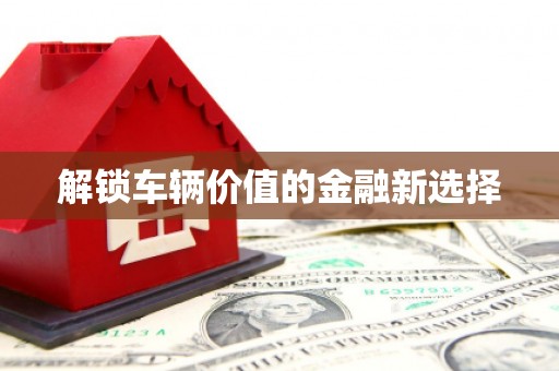 富县解锁车辆价值的金融新选择