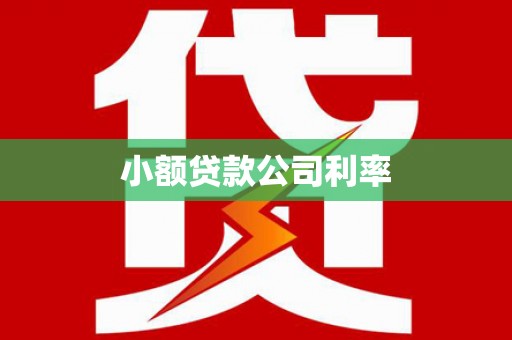 富县小额贷款公司利率