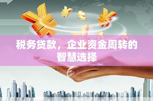 富县税务贷款，企业资金周转的智慧选择