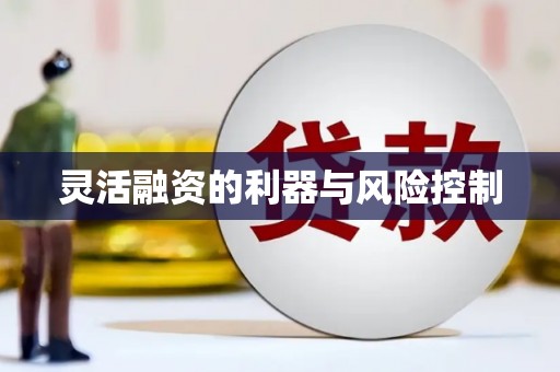 富县灵活融资的利器与风险控制