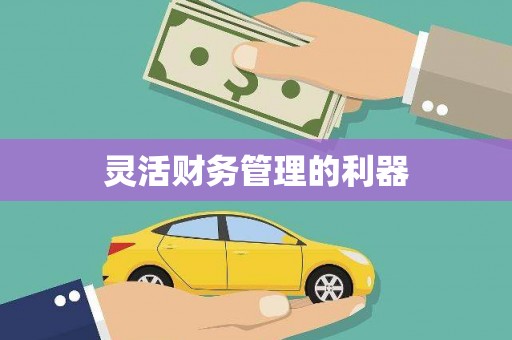 富县灵活财务管理的利器