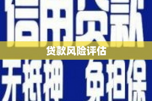 富县贷款风险评估