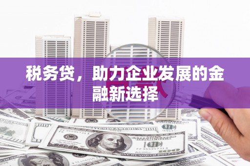富县税务贷，助力企业发展的金融新选择