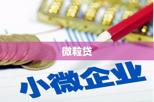 富县微粒贷