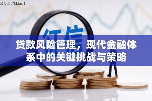 富县贷款风险管理，现代金融体系中的关键挑战与策略