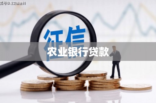 富县农业银行贷款