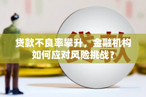 富县贷款不良率攀升，金融机构如何应对风险挑战？
