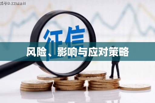 富县风险、影响与应对策略