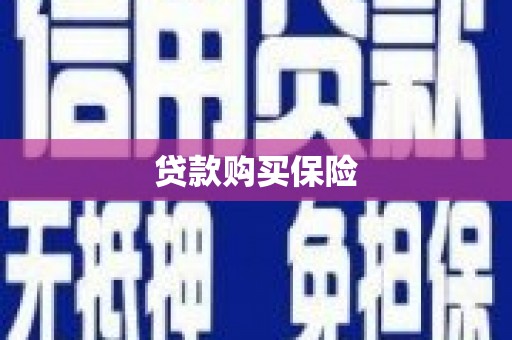 富县贷款购买保险