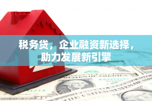 富县税务贷，企业融资新选择，助力发展新引擎