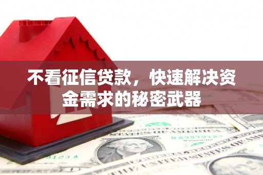 富县不看征信贷款，快速解决资金需求的秘密武器