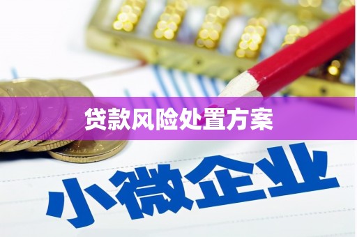 富县贷款风险处置方案