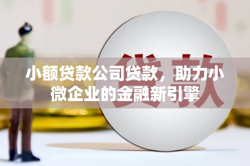富县小额贷款公司贷款，助力小微企业的金融新引擎