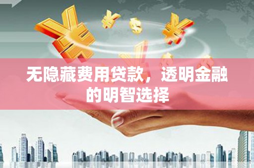 富县无隐藏费用贷款，透明金融的明智选择