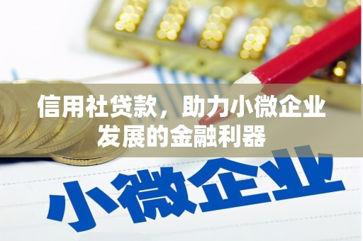 富县信用社贷款，助力小微企业发展的金融利器