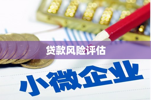 富县贷款风险评估
