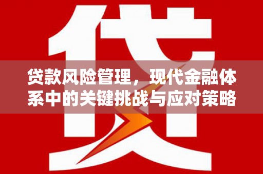 富县贷款风险管理，现代金融体系中的关键挑战与应对策略