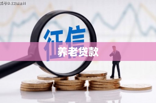 富县养老贷款