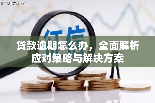富县贷款逾期怎么办，全面解析应对策略与解决方案