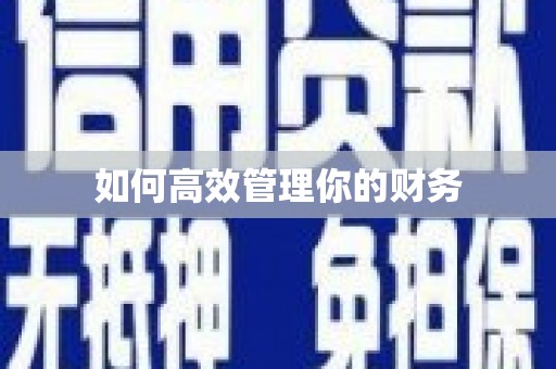 富县如何高效管理你的财务