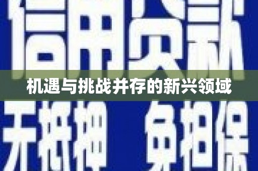 富县机遇与挑战并存的新兴领域