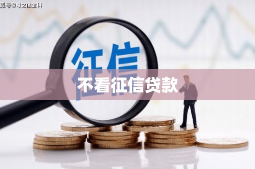 富县不看征信贷款