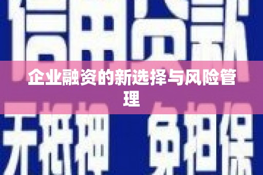 富县企业融资的新选择与风险管理