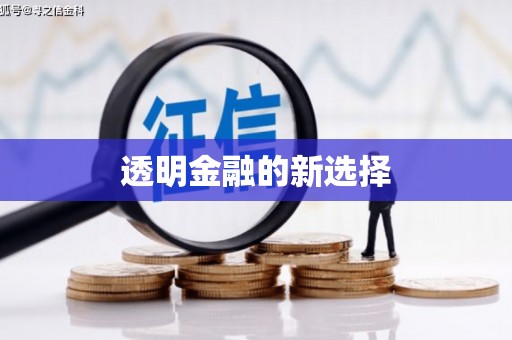 富县透明金融的新选择