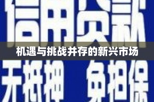 富县机遇与挑战并存的新兴市场