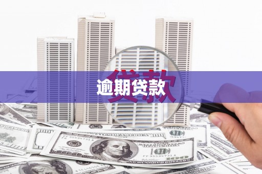 富县逾期贷款