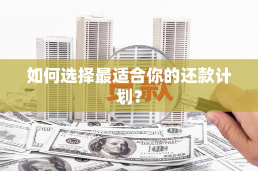 富县如何选择最适合你的还款计划？