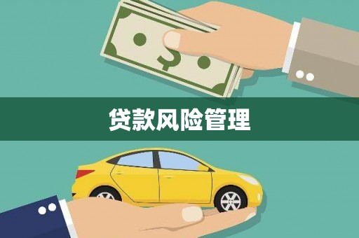 富县贷款风险管理